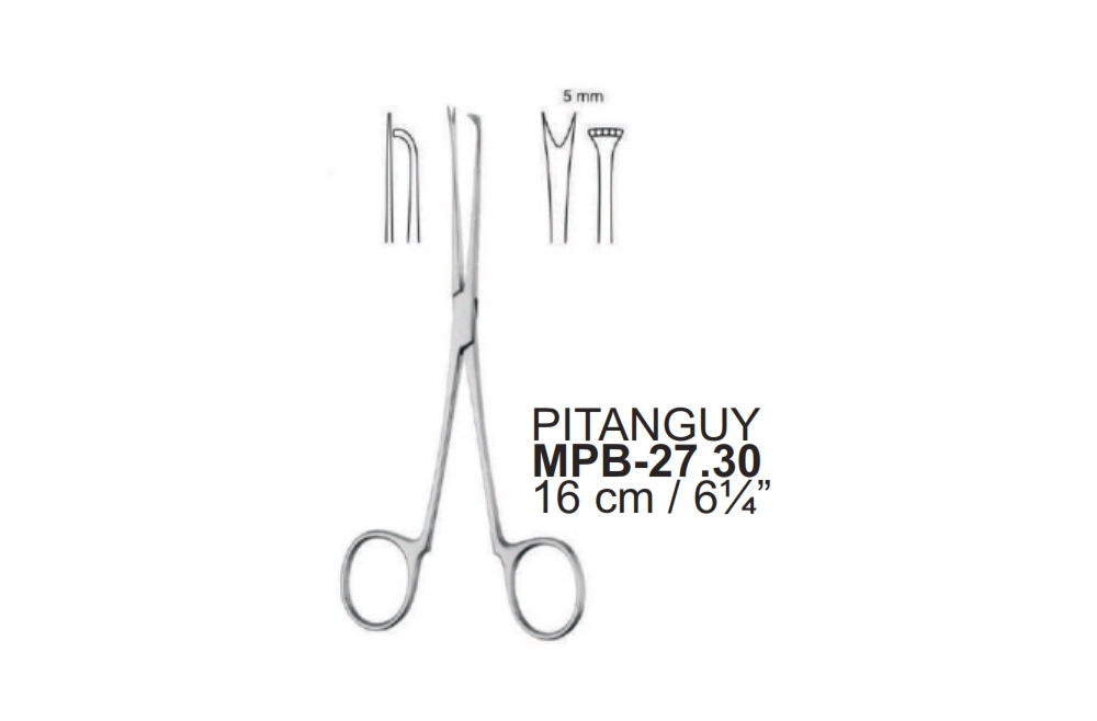 PITANGUY