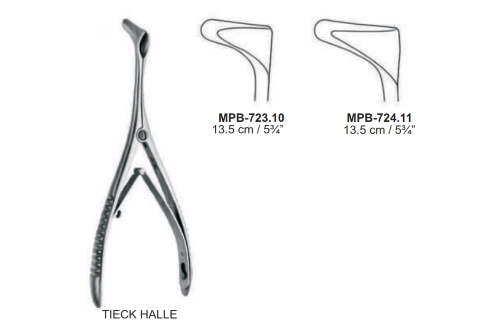 TIECK HALLE