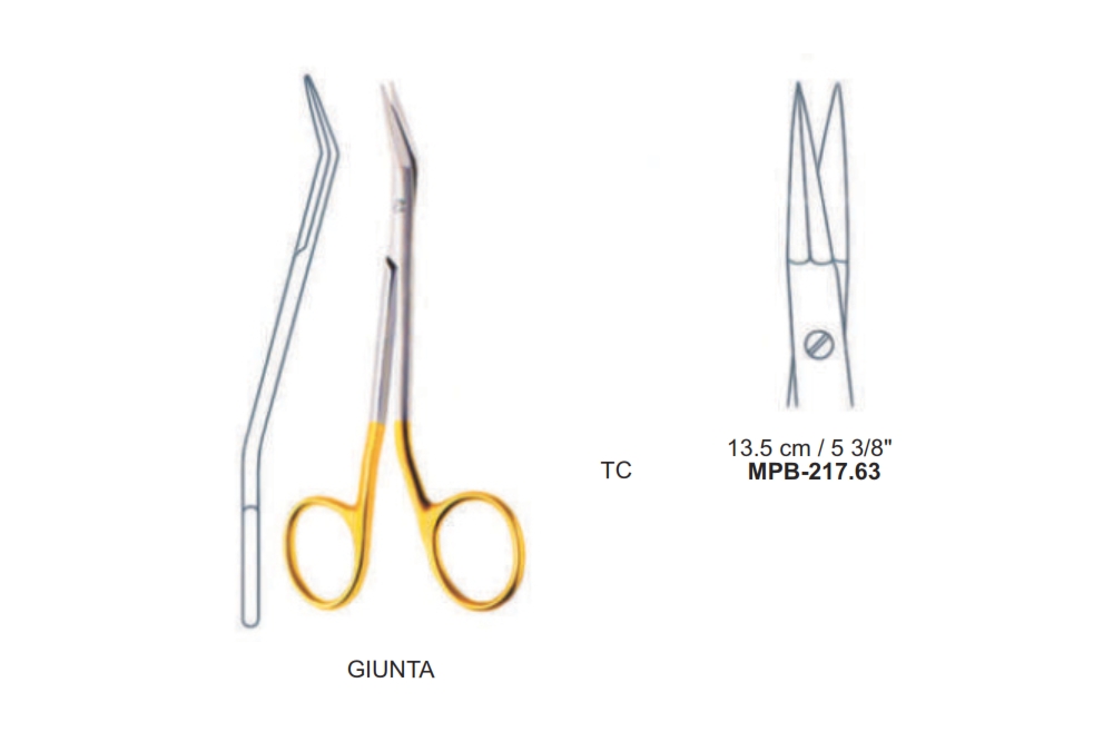 GIUNTA